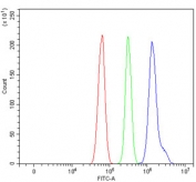Flow cytometry testing of rat RH35 cells with TMEM65 antibody at 1ug/million cells (blocked with goat sera); Red=cells alone, Green=isotype control, Blue= TMEM65 antibody.