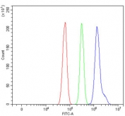 Flow cytometry testing of rat RH35 cells with TMEM65 antibody at 1ug/million cells (blocked with goat sera); Red=cells alone, Green=isotype control, Blue= TMEM65 antibody.
