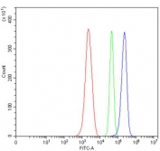 Flow cytometry testing of mouse ANA-1 cells with TMEM65 antibody at 1ug/million cells (blocked with goat sera); Red=cells alone, Green=isotype control, Blue= TMEM65 antibody.