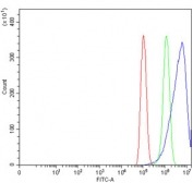 Flow cytometry testing of human PC-3 cells with THUMP domain-containing protein 3 antibody at 1ug/million cells (blocked with goat sera); Red=cells alone, Green=isotype control, Blue= THUMP domain-containing protein 3 antibody.