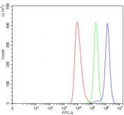 Flow cytometry testing of human HEL cells with TRIM67 antibody at 1ug/million cells (blocked with goat sera); Red=cells alone, Green=isotype control, Blue= TRIM67 antibody.