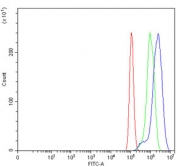Flow cytometry testing of human PC-3 cells with TIGD1 antibody at 1ug/million cells (blocked with goat sera); Red=cells alone, Green=isotype control, Blue= TIGD1 antibody.