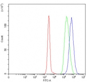 Flow cytometry testing of human Daudi cells with TIGD6 antibody at 1ug/million cells (blocked with goat sera); Red=cells alone, Green=isotype control, Blue= TIGD6 antibody.