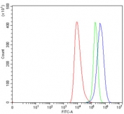 Flow cytometry testing of human HEL cells with TRAM1L1 antibody at 1ug/million cells (blocked with goat sera); Red=cells alone, Green=isotype control, Blue= TRAM1L1 antibody.