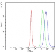 Flow cytometry testing of human Daudi cells with TIGD3 antibody at 1ug/million cells (blocked with goat sera); Red=cells alone, Green=isotype control, Blue= TIGD3 antibody.