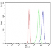 Flow cytometry testing of human HL60 cells with SDCCAG3 antibody at 1ug/million cells (blocked with goat sera); Red=cells alone, Green=isotype control, Blue= SDCCAG3 antibody.