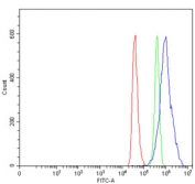 Flow cytometry testing of human ThP-1 cells with TWIST1/2 antibody at 1ug/million cells (blocked with goat sera); Red=cells alone, Green=isotype control, Blue= TWIST1/2 antibody.