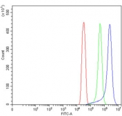 Flow cytometry testing of human SiHa cells with FRY antibody at 1ug/million cells (blocked with goat sera); Red=cells alone, Green=isotype control, Blue= FRY antibody.