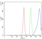 Flow cytometry testing of human Daudi cells with CD74 antibody at 1ug/million cells (blocked with goat sera); Red=cells alone, Green=isotype control, Blue= CD74 antibody.