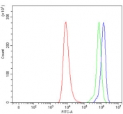 Flow cytometry testing of human HEL cells with IL2-inducible T-cell kinase antibody at 1ug/million cells (blocked with goat sera); Red=cells alone, Green=isotype control, Blue= IL2-inducible T-cell kinase antibody.