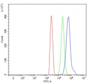 Flow cytometry testing of human HL60 cells with HSD11K antibody at 1ug/million cells (blocked with goat sera); Red=cells alone, Green=isotype control, Blue= HSD11K antibody.