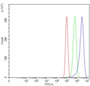 Flow cytometry testing of human PC-3 cells with WNT7A antibody at 1ug/million cells (blocked with goat sera); Red=cells alone, Green=isotype control, Blue= WNT7A antibody.