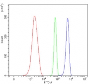 Flow cytometry testing of mouse ANA-1 cells with Plagl1 antibody at 1ug/million cells (blocked with goat sera); Red=cells alone, Green=isotype control, Blue= Plagl1 antibody.