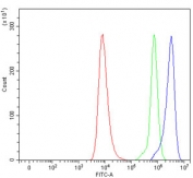 Flow cytometry testing of human HEL cells with SEL1L antibody at 1ug/million cells (blocked with goat sera); Red=cells alone, Green=isotype control, Blue= SEL1L antibody.