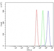 Flow cytometry testing of human MCF7 cells with DOCK1 antibody at 1ug/million cells (blocked with goat sera); Red=cells alone, Green=isotype control, Blue= DOCK1 antibody.