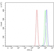 Flow cytometry testing of human U-87 MG cells with WIPF1 antibody at 1ug/million cells (blocked with goat sera); Red=cells alone, Green=isotype control, Blue= WIPF1 antibody.