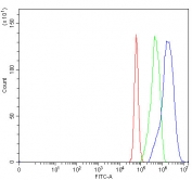Flow cytometry testing of fixed and permeabilized human U-87 MG cells with TBX18 antibody at 1ug/million cells (blocked with goat sera); Red=cells alone, Green=isotype control, Blue= TBX18 antibody.