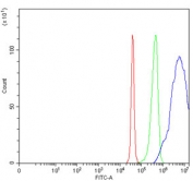 Flow cytometry testing of human SiHa cells with SAP30 antibody at 1ug/million cells (blocked with goat sera); Red=cells alone, Green=isotype control, Blue= SAP30 antibody.