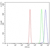 Flow cytometry testing of human U-2 OS cells with SAP130 antibody at 1ug/million cells (blocked with goat sera); Red=cells alone, Green=isotype control, Blue= SAP130 antibody.