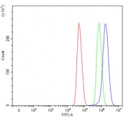 Flow cytometry testing of human U-251 cells with SFR1 antibody at 1ug/million cells (blocked with goat sera); Red=cells alone, Green=isotype control, Blue= SFR1 antibody.