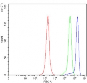 Flow cytometry testing of human JK cells with THEMIS antibody at 1ug/million cells (blocked with goat sera); Red=cells alone, Green=isotype control, Blue= THEMIS antibody.