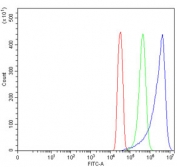 Flow cytometry testing of human SiHa cells with TRAIP antibody at 1ug/million cells (blocked with goat sera); Red=cells alone, Green=isotype control, Blue= TRAIP antibody.