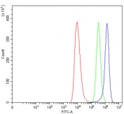 Flow cytometry testing of human HEL cells with TREML2 antibody at 1ug/million cells (blocked with goat sera); Red=cells alone, Green=isotype control, Blue= TREML2 antibody.