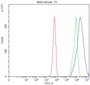 Flow cytometry testing of fixed and permeabilized human K562 cells with SAMSN1 antibody at 1ug/million cells (blocked with goat sera); Red=cells alone, Green=isotype control, Blue= SAMSN1 antibody.