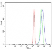 Flow cytometry testing of human U-2 OS cells with NARF antibody at 1ug/million cells (blocked with goat sera); Red=cells alone, Green=isotype control, Blue= NARF antibody.