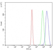 Flow cytometry testing of human U-2 OS cells with Serpin B13 antibody at 1ug/million cells (blocked with goat sera); Red=cells alone, Green=isotype control, Blue= Serpin B13 antibody.