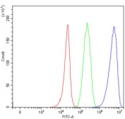 Flow cytometry testing of human 293T cells with TRMT61B antibody at 1ug/million cells (blocked with goat sera); Red=cells alone, Green=isotype control, Blue= TRMT61B antibody.