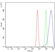 Flow cytometry testing of human U-87 MG cells with PILT antibody at 1ug/million cells (blocked with goat sera); Red=cells alone, Green=isotype control, Blue= PILT antibody.
