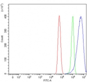 Flow cytometry testing of fixed and permeabilized human U-87 MG cells with PILT antibody at 1ug/million cells (blocked with goat sera); Red=cells alone, Green=isotype control, Blue= PILT antibody.