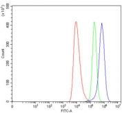 Flow cytometry testing of human HEL cells with Septin 11 antibody at 1ug/million cells (blocked with goat sera); Red=cells alone, Green=isotype control, Blue= Septin 11 antibody.