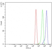 Flow cytometry testing of human MCF7 cells with TOX2 antibody at 1ug/million cells (blocked with goat sera); Red=cells alone, Green=isotype control, Blue= TOX2 antibody.