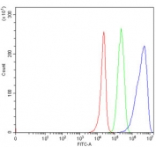 Flow cytometry testing of human 293T cells with TRMT44 antibody at 1ug/million cells (blocked with goat sera); Red=cells alone, Green=isotype control, Blue= TRMT44 antibody.