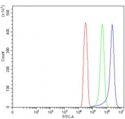 Flow cytometry testing of human SiHa cells with TMC7 antibody at 1ug/million cells (blocked with goat sera); Red=cells alone, Green=isotype control, Blue= TMC7 antibody.