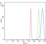 Flow cytometry testing of human U-2 OS cells with SAGE1 antibody at 1ug/million cells (blocked with goat sera); Red=cells alone, Green=isotype control, Blue= SAGE1 antibody.