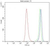 Flow cytometry testing of human HEL cells with SEC24A antibody at 1ug/million cells (blocked with goat sera); Red=cells alone, Green=isotype control, Blue= SEC24A antibody.
