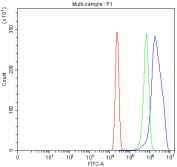 Flow cytometry testing of human U-2 OS cells with TRPS1 antibody at 1ug/million cells (blocked with goat sera); Red=cells alone, Green=isotype control, Blue= TRPS1 antibody.