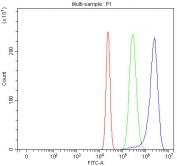 Flow cytometry testing of human U-2 OS cells with TSPY1/2/3/4 antibody at 1ug/million cells (blocked with goat sera); Red=cells alone, Green=isotype control, Blue= TSPY1/2/3/4 antibody.