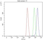 Flow cytometry testing of human U-251 cells with TTI2 antibody at 1ug/million cells (blocked with goat sera); Red=cells alone, Green=isotype control, Blue= TTI2 antibody.