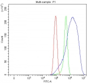Flow cytometry testing of human PC-3 cells with SERINC5 antibody at 1ug/million cells (blocked with goat sera); Red=cells alone, Green=isotype control, Blue= SERINC5 antibody.