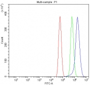 Flow cytometry testing of human U-87 MG cells with Alpha Taxilin antibody at 1ug/million cells (blocked with goat sera); Red=cells alone, Green=isotype control, Blue= Alpha Taxilin antibody.