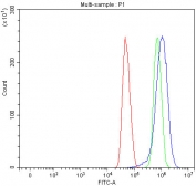 Flow cytometry testing of human U-251 cells with Alpha Taxilin antibody at 1ug/million cells (blocked with goat sera); Red=cells alone, Green=isotype control, Blue= Alpha Taxilin antibody.