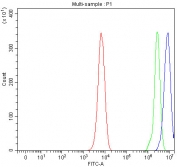 Flow cytometry testing of human K562 cells with RNase H2 subunit A antibody at 1ug/million cells (blocked with goat sera); Red=cells alone, Green=isotype control, Blue= RNase H2 subunit A antibody.