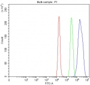 Flow cytometry testing of rat C6 cells with SMARCB1 antibody at 1ug/million cells (blocked with goat sera); Red=cells alone, Green=isotype control, Blue= SMARCB1 antibody.
