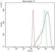 Flow cytometry testing of human U-2 OS cells with SERAC1 antibody at 1ug/million cells (blocked with goat sera); Red=cells alone, Green=isotype control, Blue= SERAC1 antibody.