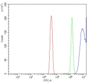 Flow cytometry testing of human HeLa cells with Parkinson disease protein 7 antibody at 1ug/million cells (blocked with goat sera); Red=cells alone, Green=isotype control, Blue= Parkinson disease protein 7 antibody.