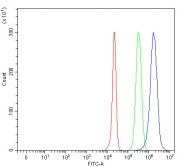 Flow cytometry testing of human HepG2 cells with Thyroxine Binding Globulin antibody at 1ug/million cells (blocked with goat sera); Red=cells alone, Green=isotype control, Blue= Thyroxine Binding Globulin antibody.